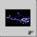 orcas.gif (2005 bytes)