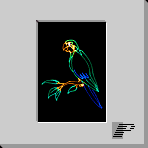 parrot.gif (1988 bytes)